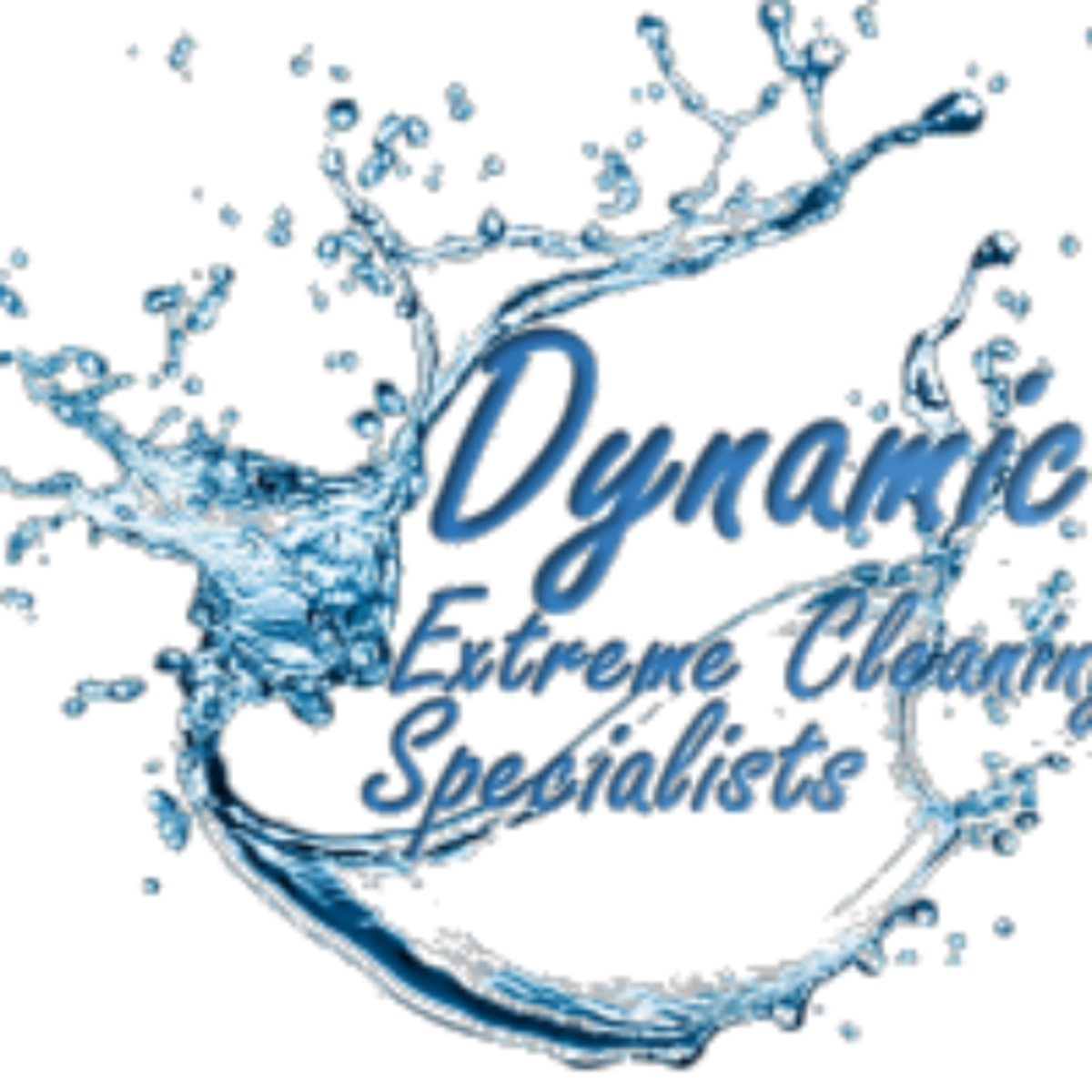 Dynamic Extreme Cleaning Specialists